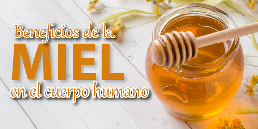 Beneficios de la miel en el cuerpo humano