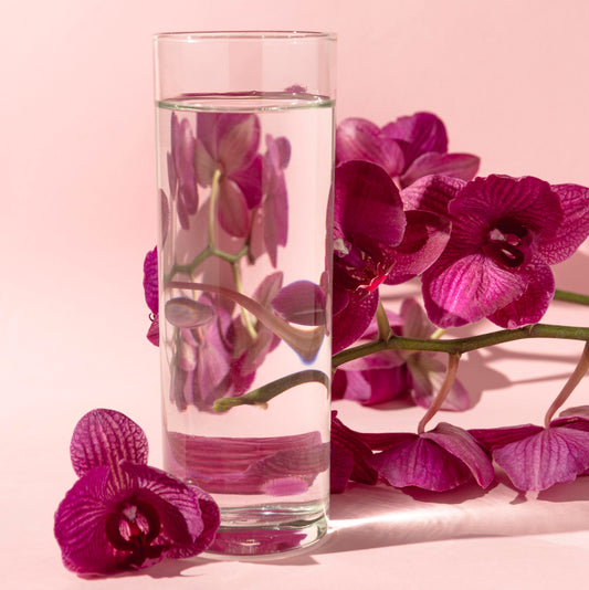 Secretos de Belleza: Tónico de Agua de Rosas y Limpiador Micelar - Guía de Uso y Beneficios